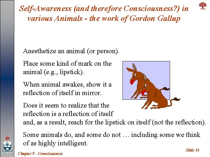 Self-Awareness (and therefore Consciousness? ) in various Animals - the work of Gordon Gallup