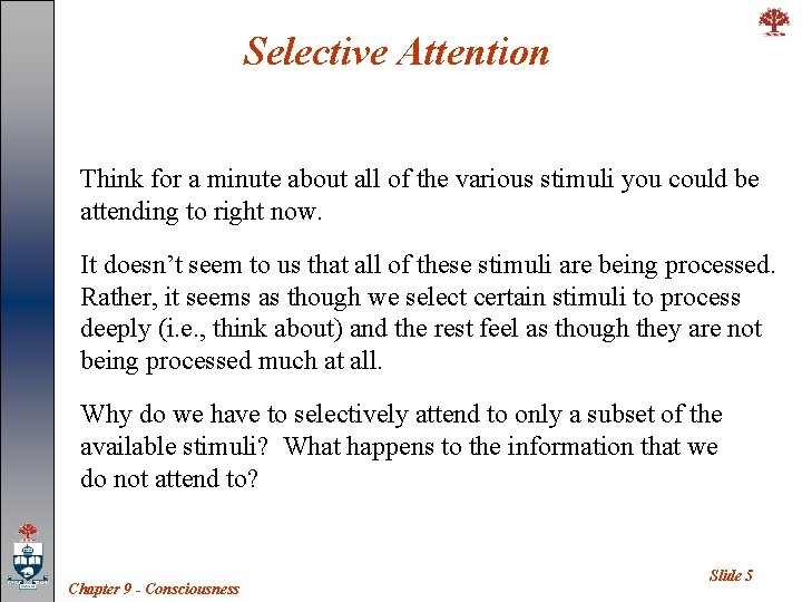 Selective Attention Think for a minute about all of the various stimuli you could