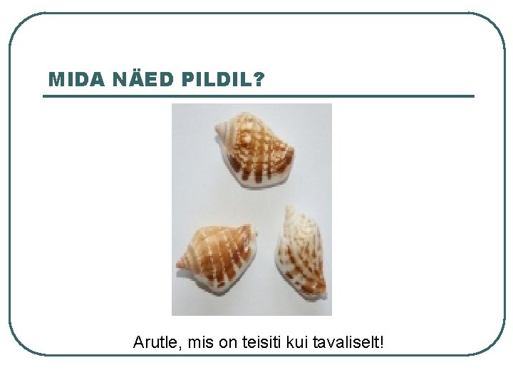 MIDA NÄED PILDIL? Arutle, mis on teisiti kui tavaliselt! 