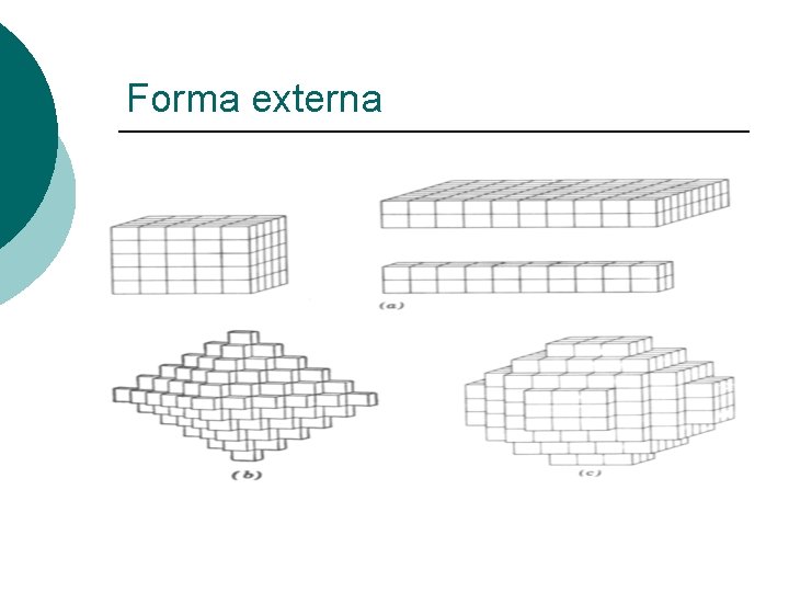 Forma externa 