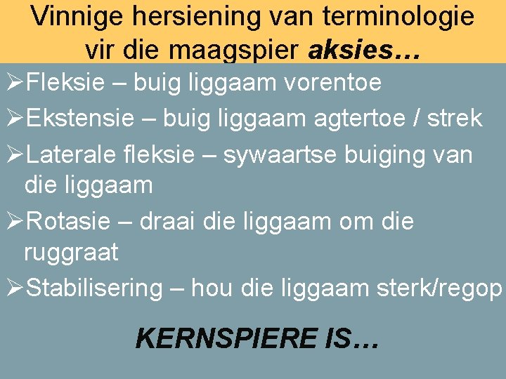 Vinnige hersiening van terminologie vir die maagspier aksies… ØFleksie – buig liggaam vorentoe ’n