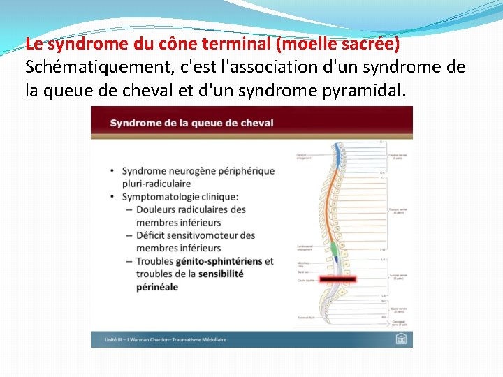 Le syndrome du cône terminal (moelle sacrée) Schématiquement, c'est l'association d'un syndrome de la