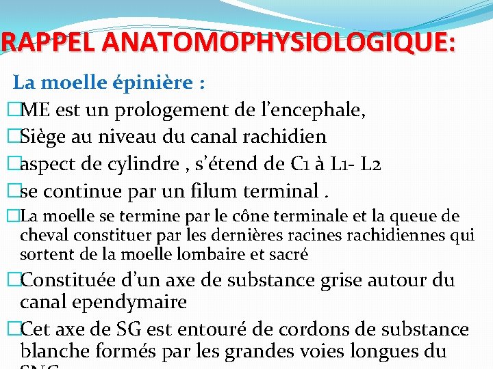 RAPPEL ANATOMOPHYSIOLOGIQUE: La moelle épinière : �ME est un prologement de l’encephale, �Siège au