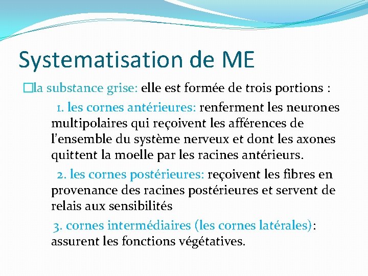 Systematisation de ME �la substance grise: elle est formée de trois portions : 1.