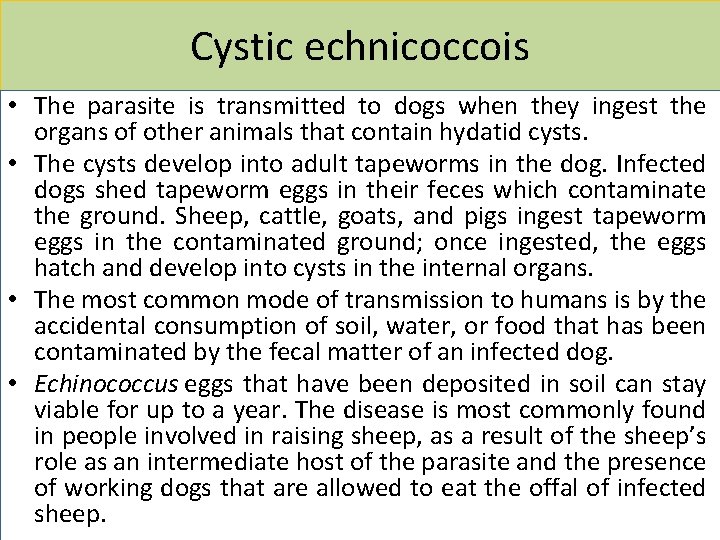 Cystic echnicoccois • The parasite is transmitted to dogs when they ingest the organs