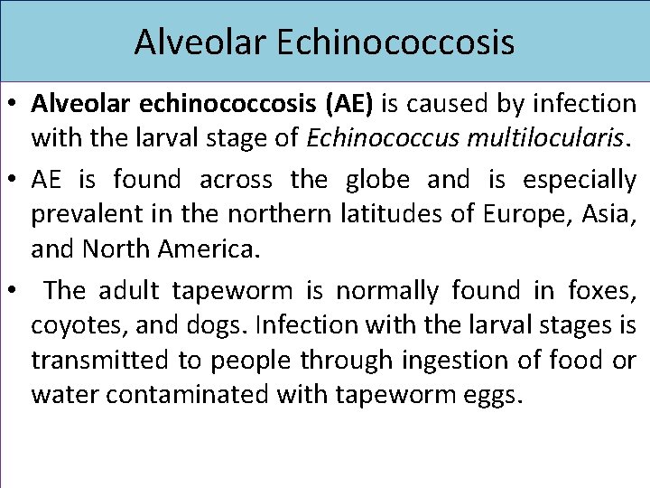 Alveolar Echinococcosis • Alveolar echinococcosis (AE) is caused by infection with the larval stage