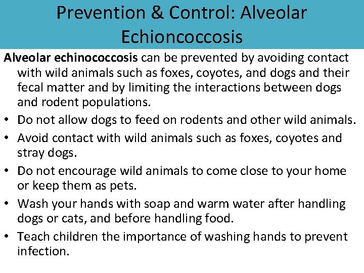 Prevention & Control: Alveolar Echioncoccosis Alveolar echinococcosis can be prevented by avoiding contact with