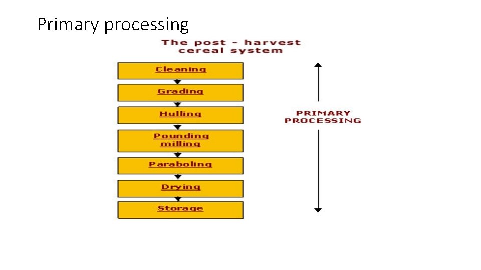 Primary processing 