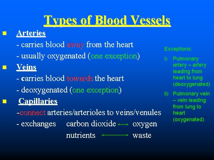 Types of Blood Vessels Arteries - carries blood away from the heart - usually