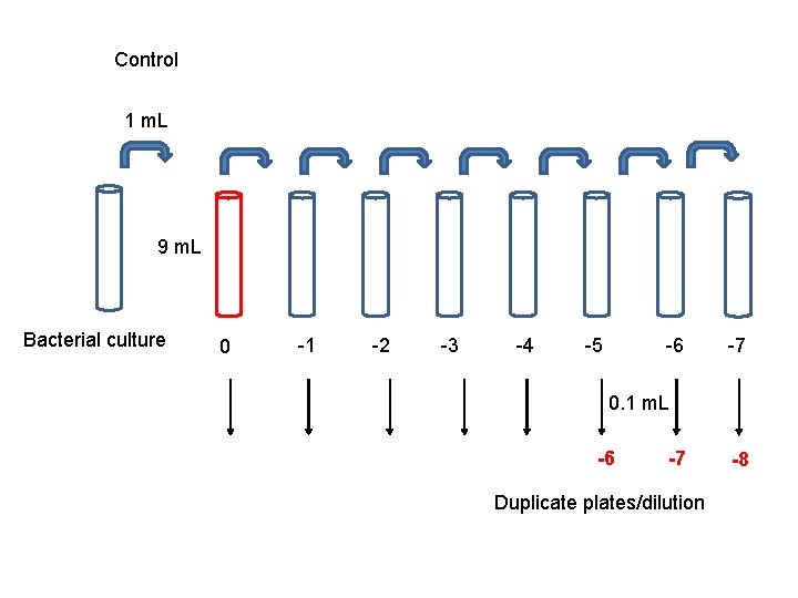 Control 1 m. L 9 m. L Bacterial culture 0 -1 -2 -3 -4