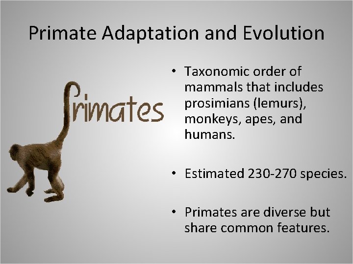 Primate Adaptation and Evolution • Taxonomic order of mammals that includes prosimians (lemurs), monkeys,