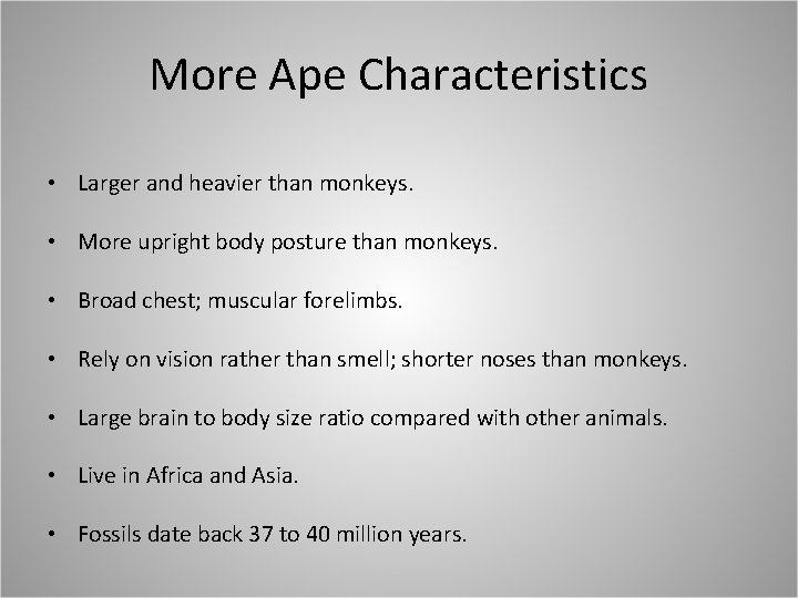 More Ape Characteristics • Larger and heavier than monkeys. • More upright body posture