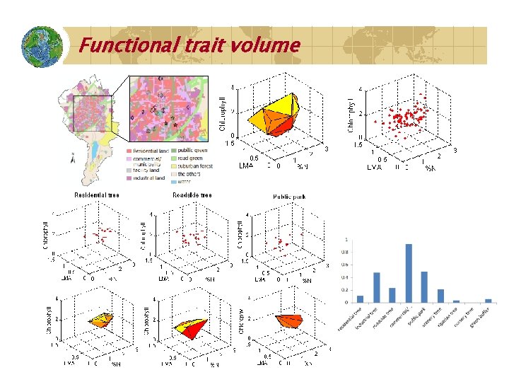 Functional trait volume 