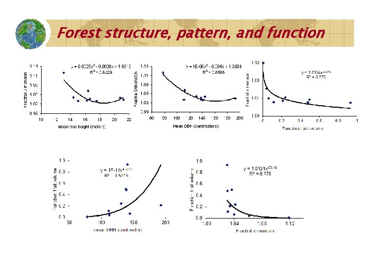 Forest structure, pattern, and function 