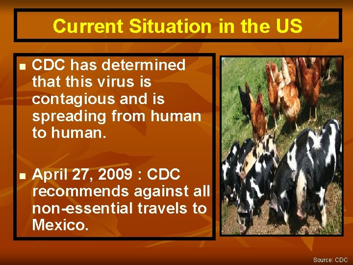 Current Situation in the US n n CDC has determined that this virus is