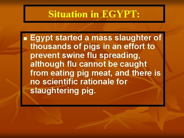 Situation in EGYPT: n Egypt started a mass slaughter of thousands of pigs in