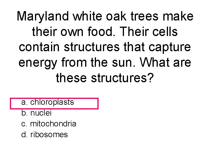 Maryland white oak trees make their own food. Their cells contain structures that capture