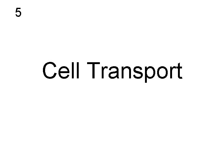 5 Cell Transport 