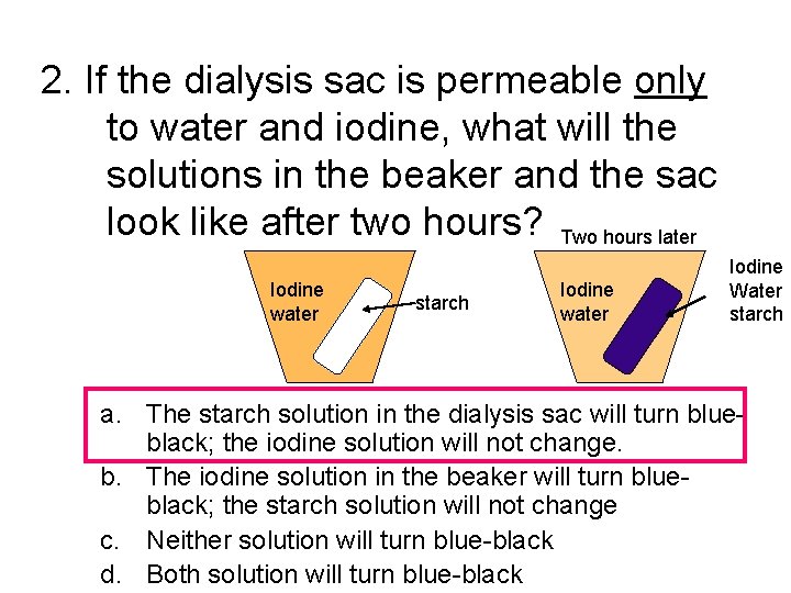 2. If the dialysis sac is permeable only to water and iodine, what will