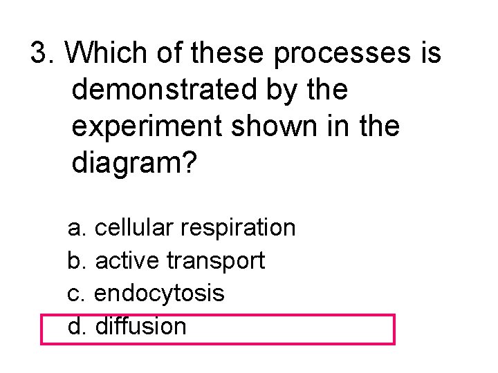 3. Which of these processes is demonstrated by the experiment shown in the diagram?