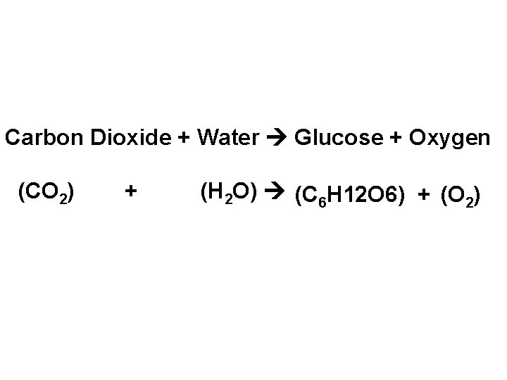 Carbon Dioxide + Water Glucose + Oxygen (CO 2) + (H 2 O) (C