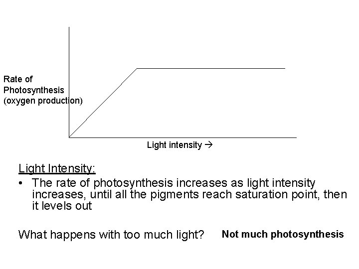 Rate of Photosynthesis (oxygen production) Light intensity Light Intensity: • The rate of photosynthesis