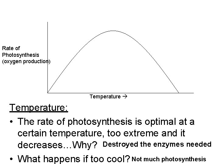 Rate of Photosynthesis (oxygen production) Temperature: • The rate of photosynthesis is optimal at