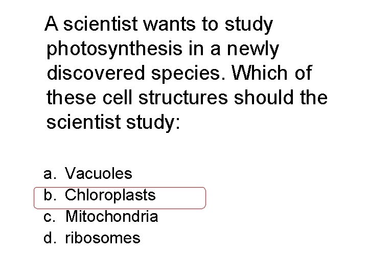 A scientist wants to study photosynthesis in a newly discovered species. Which of these