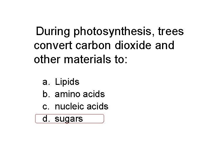 During photosynthesis, trees convert carbon dioxide and other materials to: a. b. c. d.