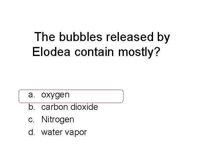 The bubbles released by Elodea contain mostly? a. b. c. d. oxygen carbon dioxide