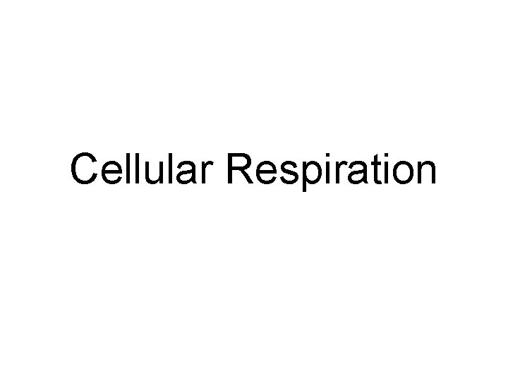 Cellular Respiration 