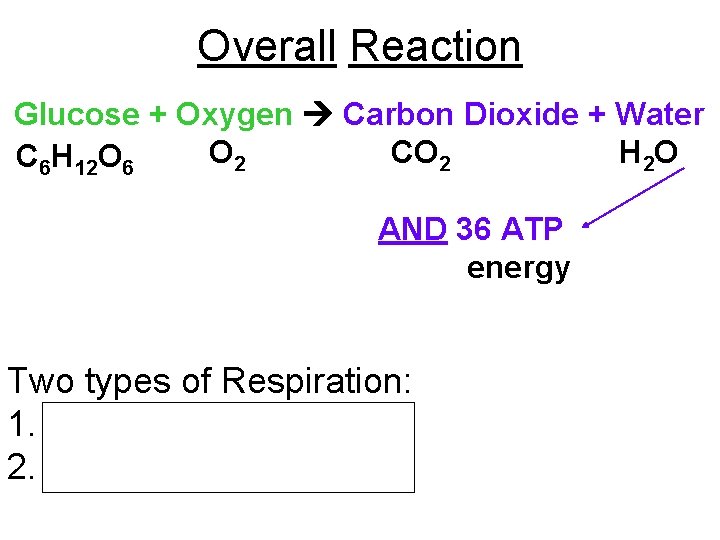 Overall Reaction Glucose + Oxygen Carbon Dioxide + Water O 2 CO 2 H