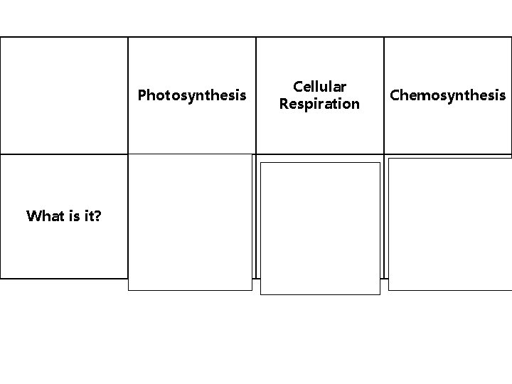 Photosynthesis What is it? Cellular Respiration Chemosynthesis Process by which organisms who sunlight and