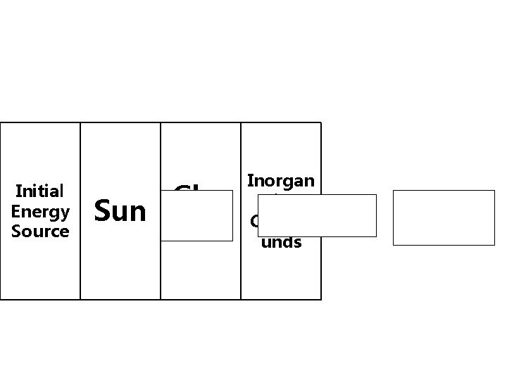 Initial Energy Source Sun Gluc ose Inorgan ic Compo unds 