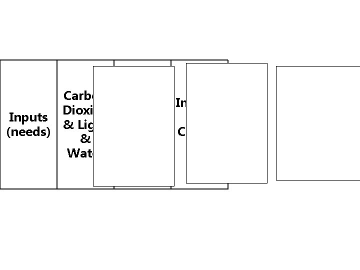 Carbon Inorgan Dioxide Oxygen ic Inputs & & Light (needs) Compo & Glucose unds