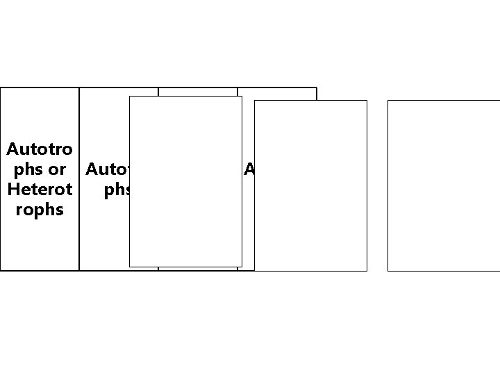 Autotro phs or Autotro Heterot phs rophs 