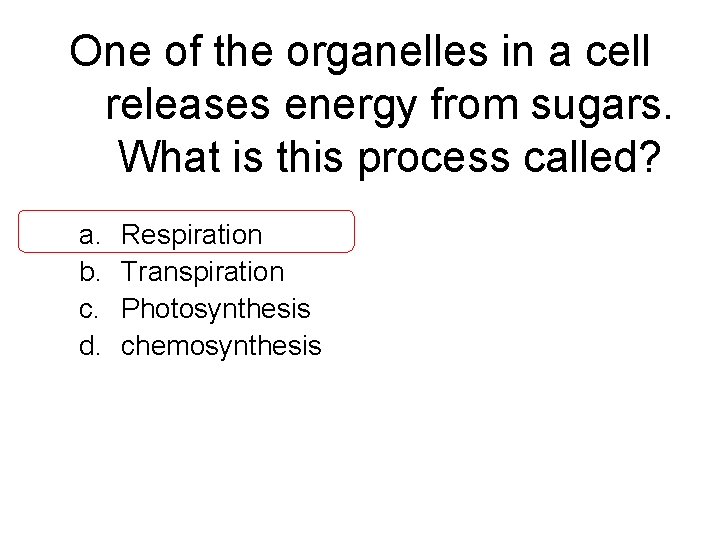 One of the organelles in a cell releases energy from sugars. What is this