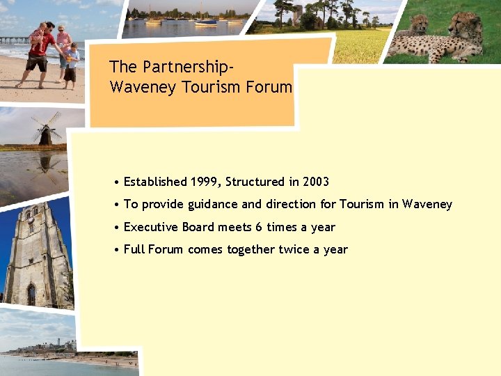 The Partnership. Waveney Tourism Forum • Established 1999, Structured in 2003 • To provide