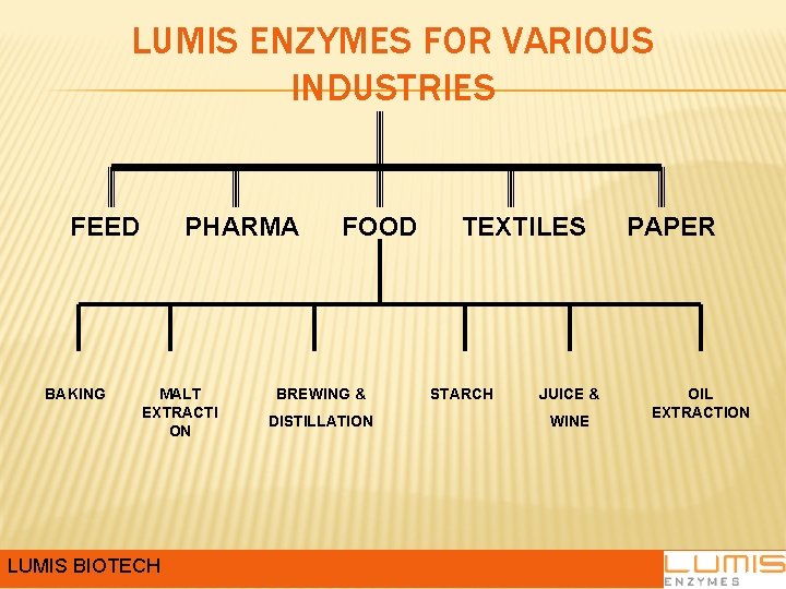 LUMIS ENZYMES FOR VARIOUS INDUSTRIES FEED BAKING PHARMA MALT EXTRACTI ON LUMIS BIOTECH FOOD LUMIS ENZYMES FOR VARIOUS INDUSTRIES FEED BAKING PHARMA MALT EXTRACTI ON LUMIS BIOTECH FOOD
