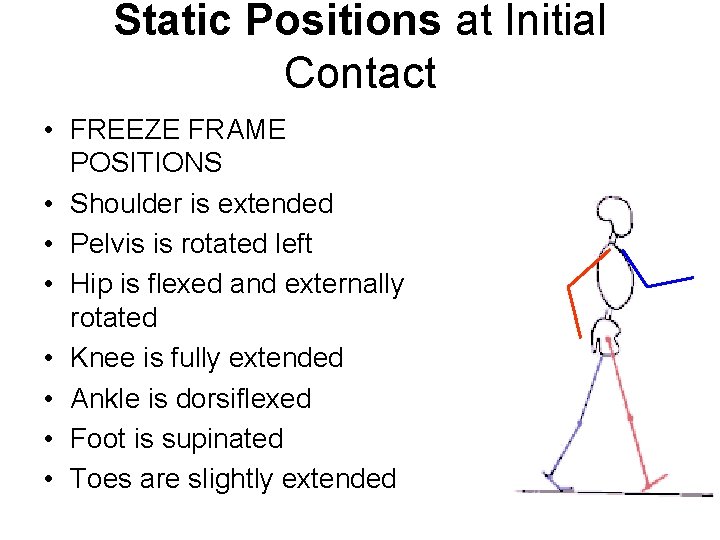 Static Positions at Initial Contact • FREEZE FRAME POSITIONS • Shoulder is extended •