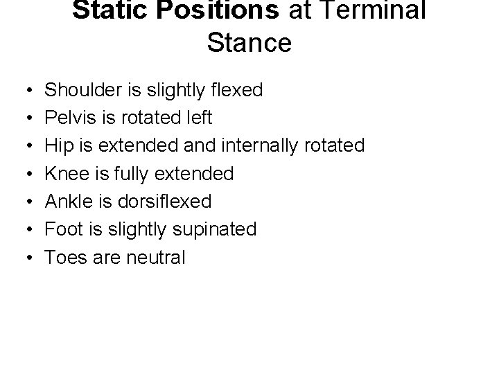 Static Positions at Terminal Stance • • Shoulder is slightly flexed Pelvis is rotated