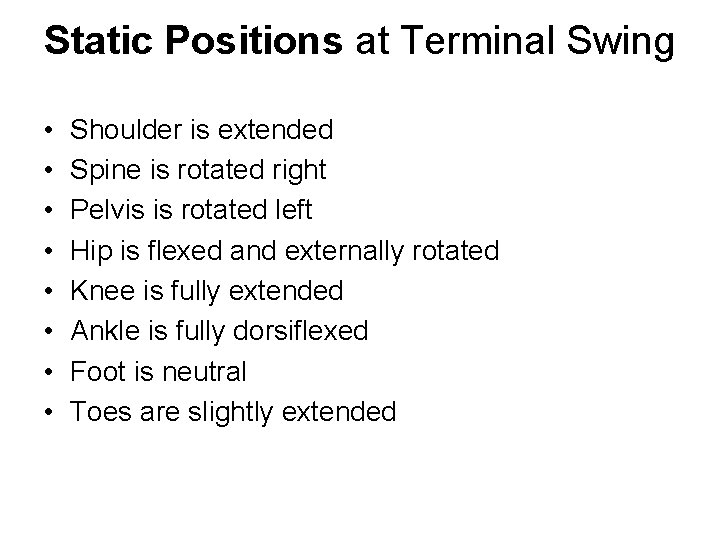 Static Positions at Terminal Swing • • Shoulder is extended Spine is rotated right