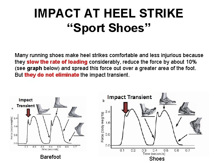 IMPACT AT HEEL STRIKE “Sport Shoes” Many running shoes make heel strikes comfortable and