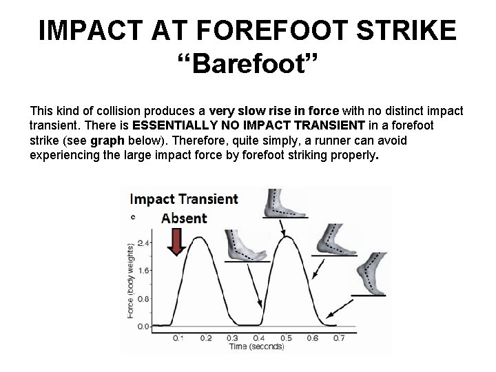 IMPACT AT FOREFOOT STRIKE “Barefoot” This kind of collision produces a very slow rise