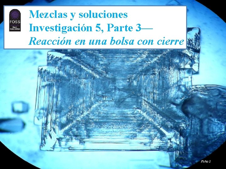 TM Mezclas y soluciones Investigación 5, Parte 3— Reacción en una bolsa con cierre