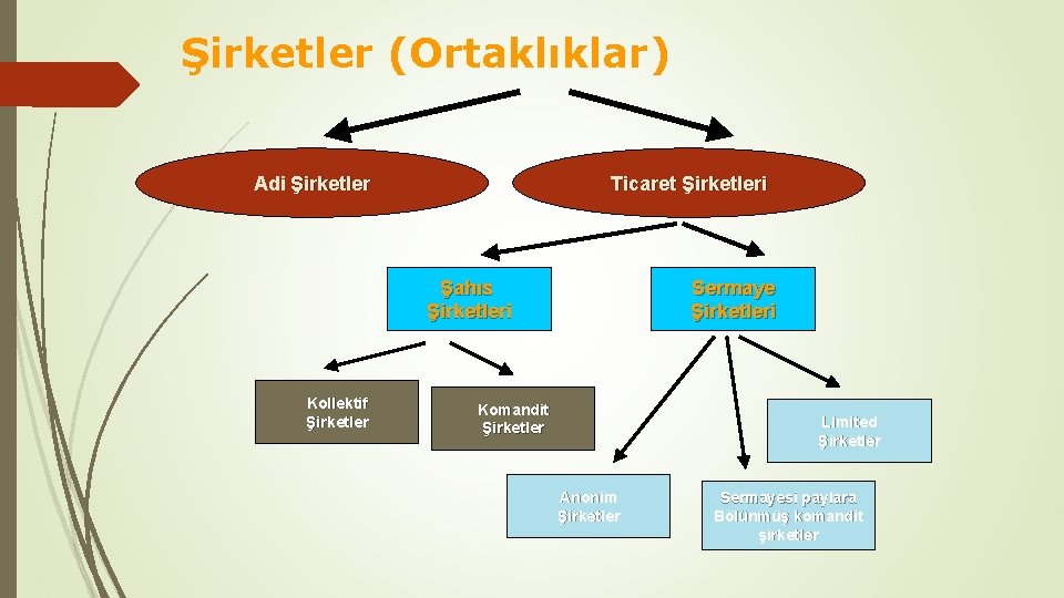 Şirketler (Ortaklıklar) Adi Şirketler Ticaret Şirketleri Şahıs Şirketleri Kollektif Şirketler Sermaye Şirketleri Komandit Şirketler