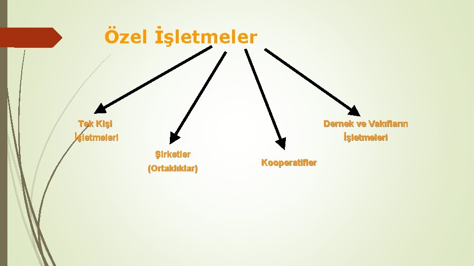 Özel İşletmeler Tek Kişi Dernek ve Vakıfların İşletmeleri Şirketler (Ortaklıklar) Kooperatifler 
