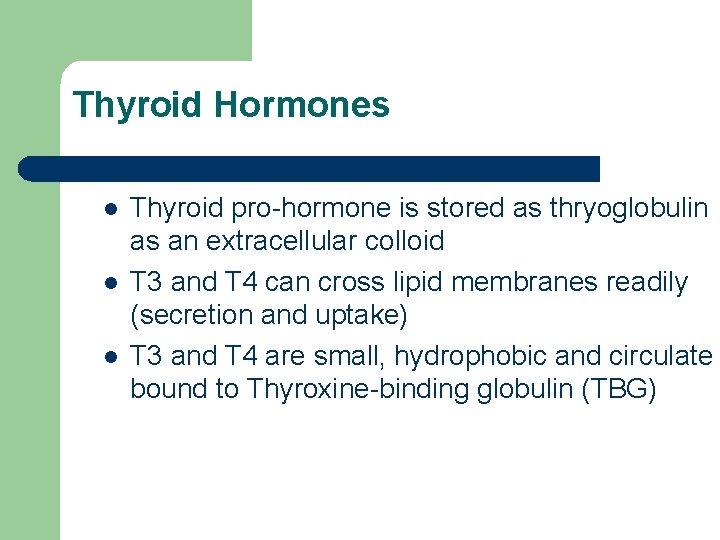 Thyroid Hormones l l l Thyroid pro-hormone is stored as thryoglobulin as an extracellular Thyroid Hormones l l l Thyroid pro-hormone is stored as thryoglobulin as an extracellular