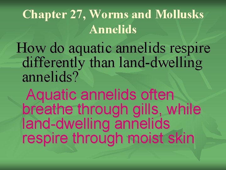 Chapter 27, Worms and Mollusks Annelids How do aquatic annelids respire differently than land-dwelling
