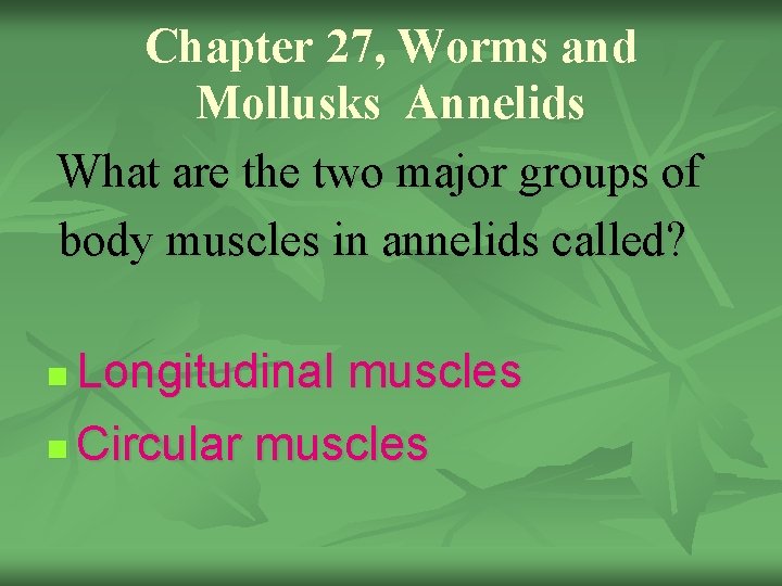 Chapter 27, Worms and Mollusks Annelids What are the two major groups of body
